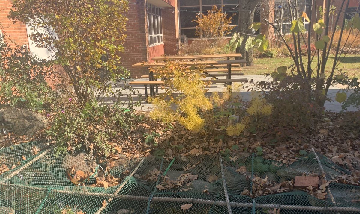 Dr_BethHoffman's tweet image. “It’s a funny thing about life, once you begin to take note of the things you are grateful for, you begin to lose sight of the things you lack.” @GermanyKent Beautiful day @BearTavernES!  #beartavernpride