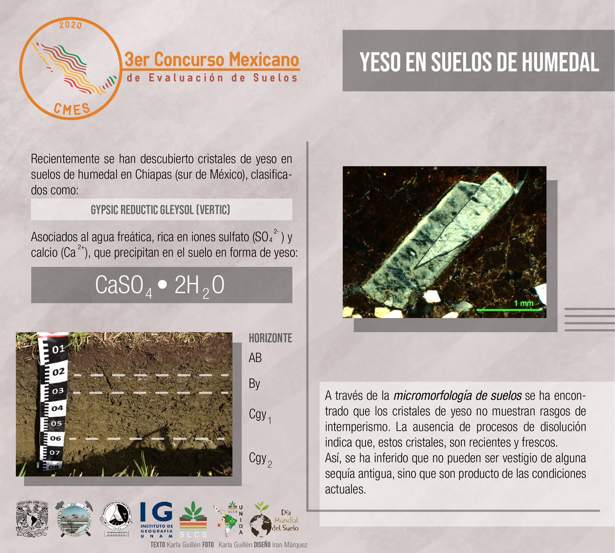 SMCSuelo's tweet photo. La Comisión de Acción Juvenil, de la Sociedad Mexicana de la Ciencia del Suelo, A.C., llevan a cabo el proyecto Edafografías, infografías sobre Ciencia del Suelo. Síguelas cada lunes a través del Facebook @ConMexSuelos 
Yeso en Suelos de Humedal https://t.co/JHo5uwSAlg