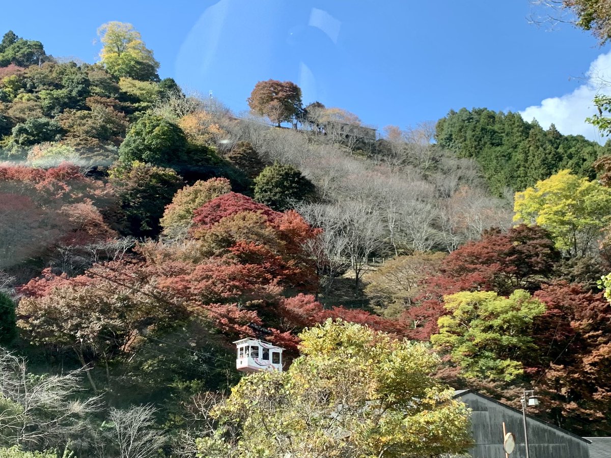 奈良県吉野町 公式 吉野山の紅葉が見頃です 紅葉 吉野山