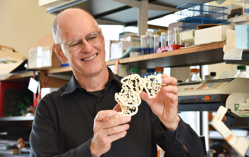 BondLifeSci's tweet photo. In order to find whether we have neighbors in outer space, we must first understand how life began on Earth. The @BurkeLabRNA recently won a $5 million grant from @NASA that will help them pursue that question. #MizzouResearch https://t.co/zYx4kel2MO https://t.co/5d5URpS9zk