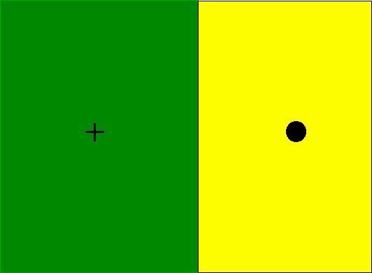 AP_Psychology's tweet photo. Find your Blind Spot -
Close your left eye &amp; look directly at the cross with your right eye. Slowly bring your face closer to the screen. The dot will disappear as you move closer/further away. #APpsych https://t.co/1jOVHvKDcD