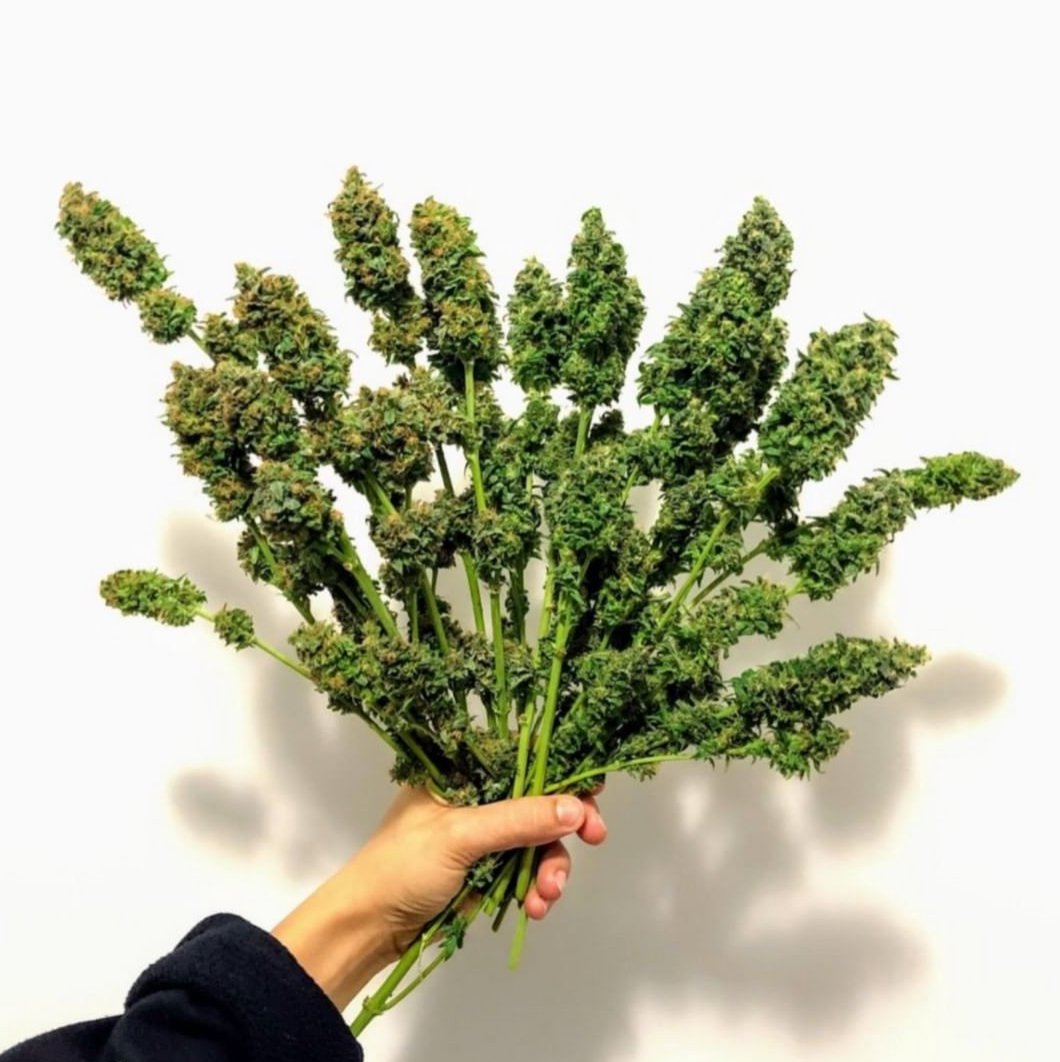 superanytime's tweet image. 💐 Say it with flowers. 📸 @grassandgrain.co  #SuperAnytime #BetterThanYourDealer