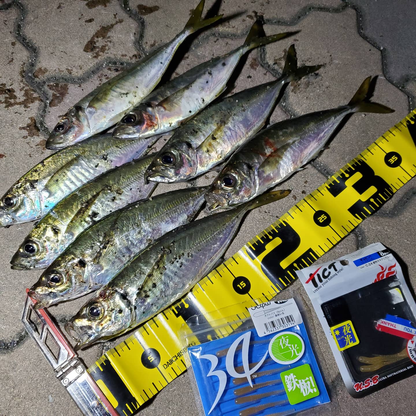 Yutaka Fishing 相変わらずポチャリとバラシか多かった 釣行日 11月8日 日 境港ssg 小潮 上げ Pe 0 4号 リーダー フロロ6lb アジング アジ 釣り 山陰釣り 釣り好きな人と繋がりたい 釣り好き 釣り初心者 釣り好きと繋がりたい ライトゲーム Yutaka Fishing 相変わらずポチャリとバラシか多かった 釣行日 11月8日 日 境港ssg 小潮 上げ Pe 0 4号 リーダー フロロ6lb アジング アジ 釣り 山陰釣り 釣り好きな人と繋がりたい 釣り好き 釣り初心者 釣り好きと繋がりたい ライトゲーム