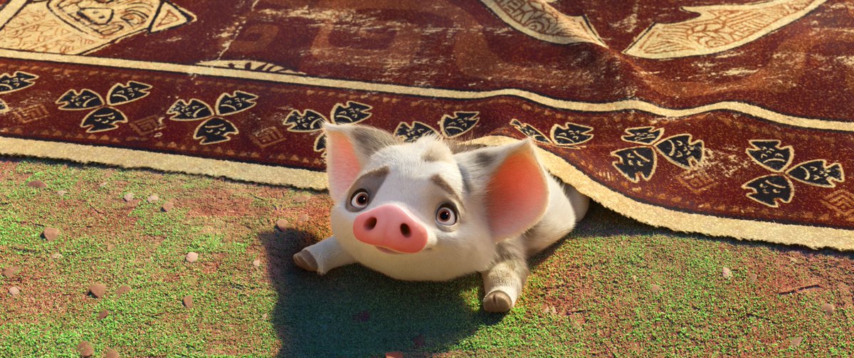 DisneyAnimation's tweet photo. A moment of cuteness featuring Pua. https://t.co/pwwV9ZiQrC