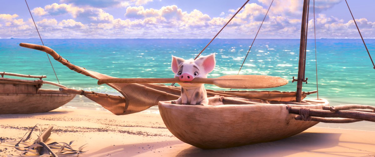 DisneyAnimation's tweet photo. A moment of cuteness featuring Pua. https://t.co/pwwV9ZiQrC