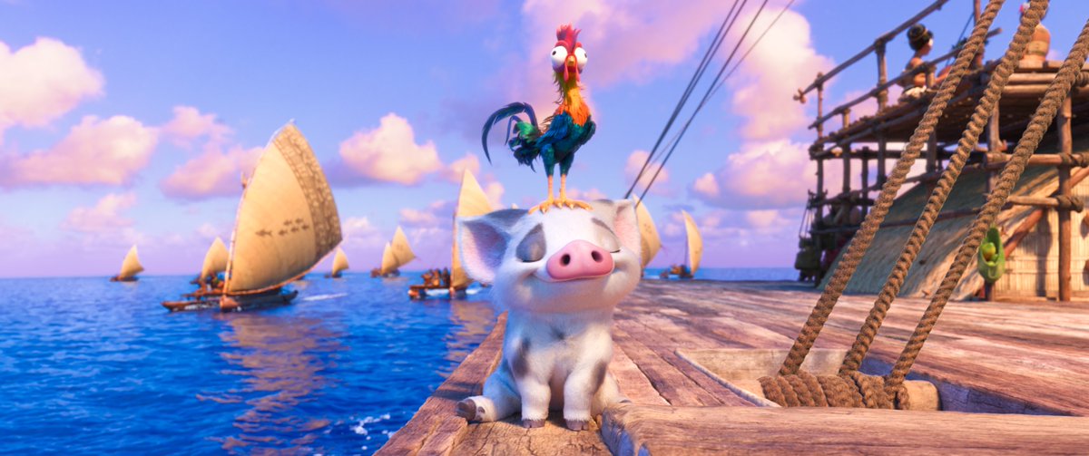 DisneyAnimation's tweet photo. A moment of cuteness featuring Pua. https://t.co/pwwV9ZiQrC