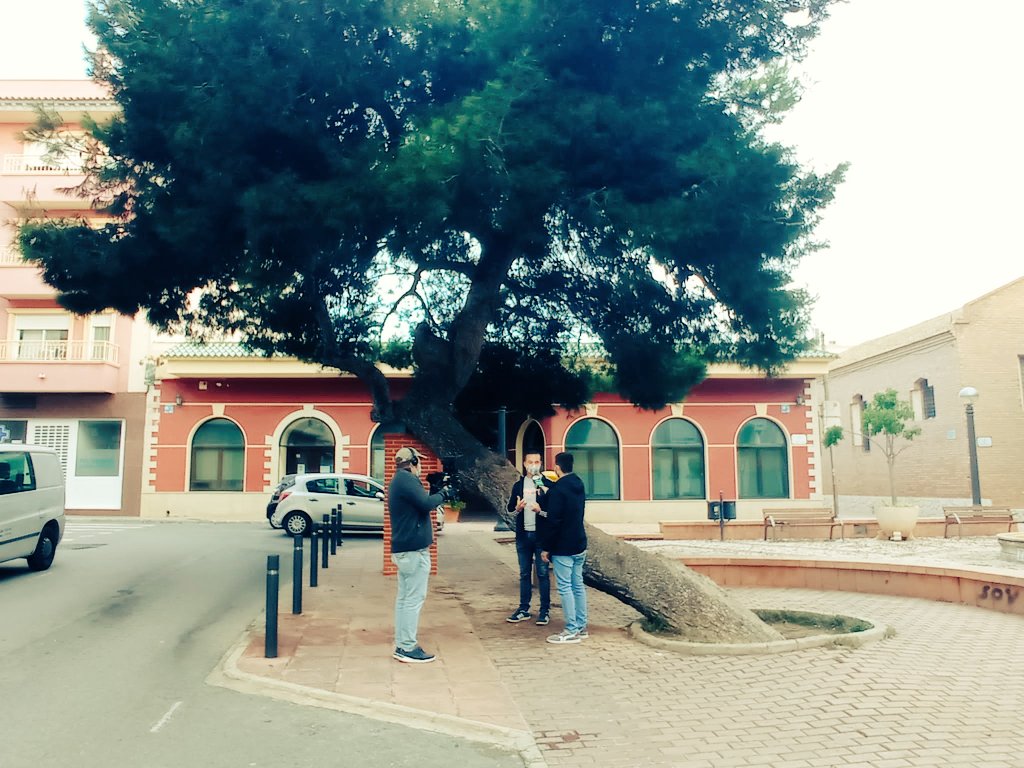 BaiaJovens's tweet photo. Hui al programa de @terravivaapunt hem parlat del nostre arbre 🌳 Un homenatge als arbres singulars del #CampdElx i als arbres de la nostra vida 💪🏽🌳
El vostre suport és molt important!
#Som230MIL 
https://t.co/6ftOEsNbEz
@costablancaorg
@Ajuntament_Elx @raulagullohotm1 https://t.co/0yolpwCNt6