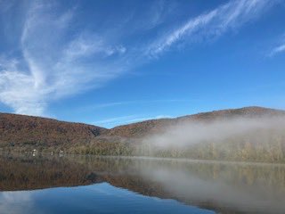 Steve Underwood tweet media