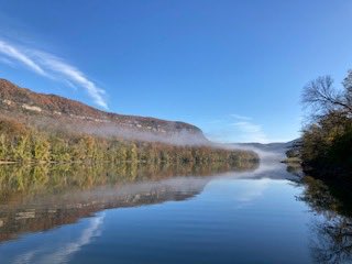 Steve Underwood tweet media