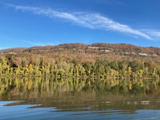 Steve Underwood tweet media