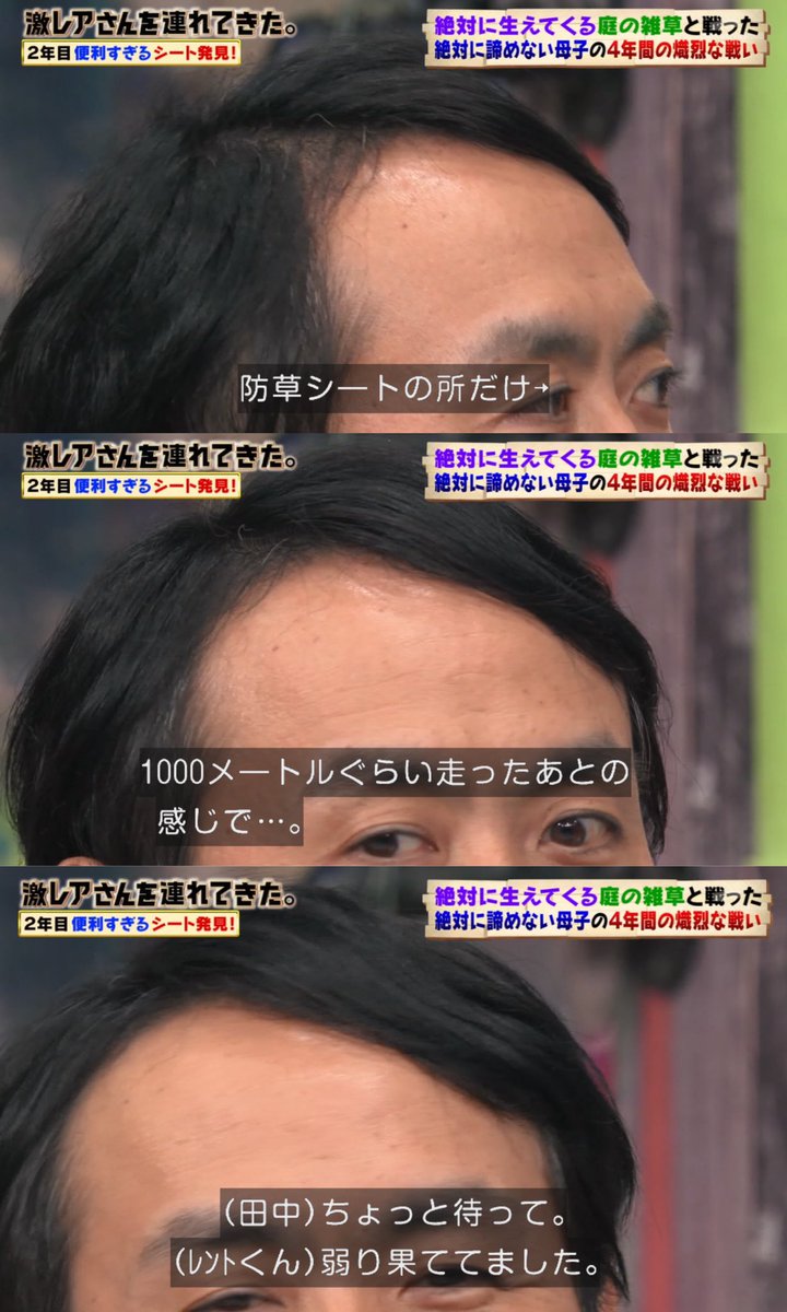 Uzivatel わかわかわかちゃん Na Twitteru アンガールズ田中の頭皮を こんなにマジマジと見るのは 最初で最後だと思う笑 オードリー オードリー若林 若林正恭 若林 若様 若ちゃんかわいい 激レアさん アンガールズ田中 田中卓志