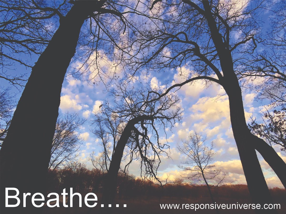 Breathe in positive energy.... Breathe out false-self and ego facilities like fear, anger, anxiety, jealousy and sadness...
What are you left with? Your True Nature....
responsiveuniverse.com