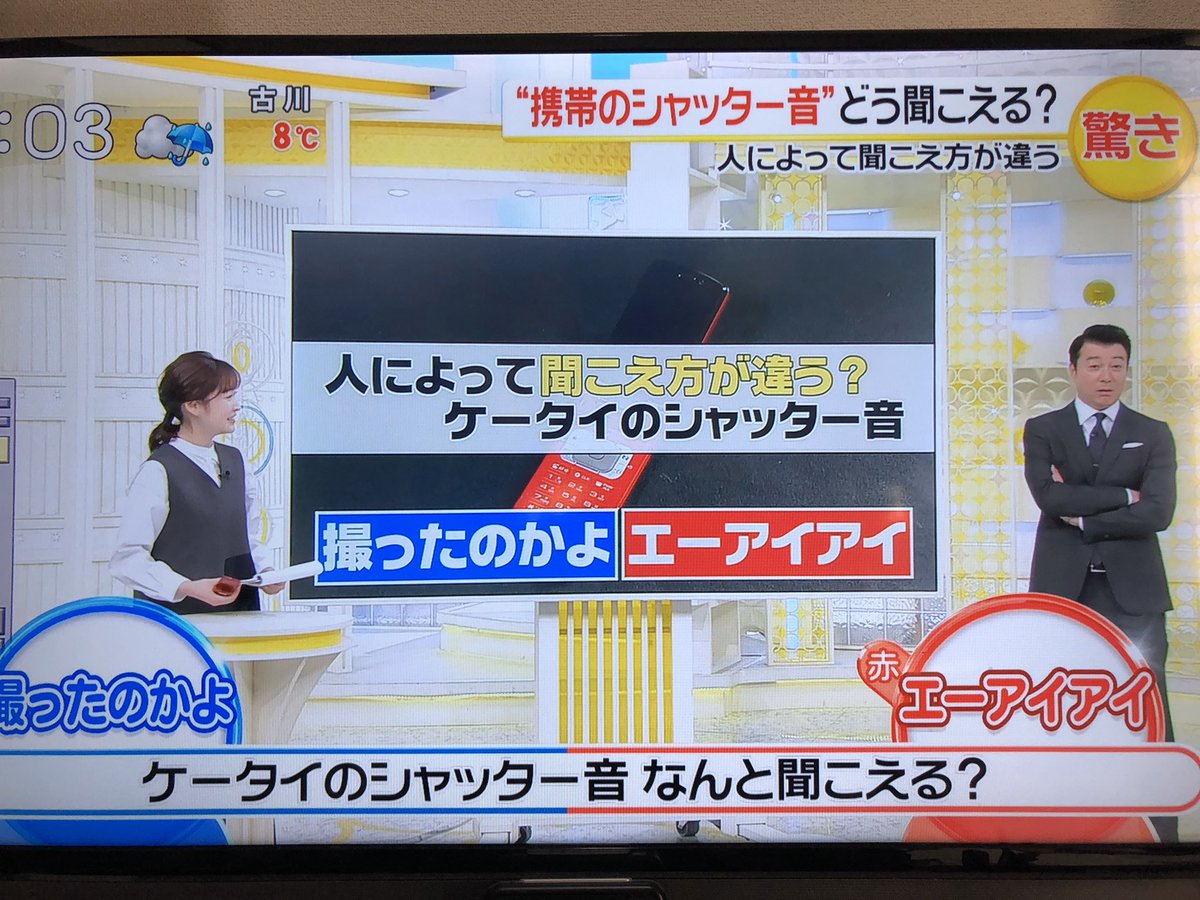探偵 ナイトスクープで シャッター が話題に トレンドアットtv 探偵 ナイトスクープで シャッター が話題に トレンドアットtv