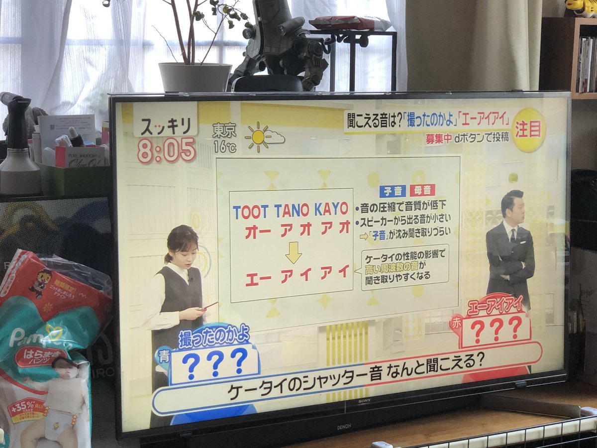 探偵 ナイトスクープで ネタ が話題に トレンドアットtv