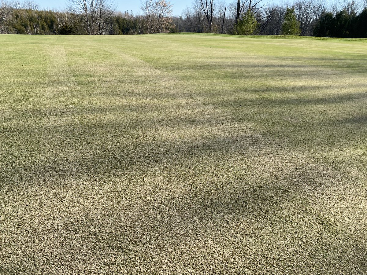 pgccgreens's tweet photo. Busy few days... #pgcc2020 https://t.co/NEUoXjJm5g