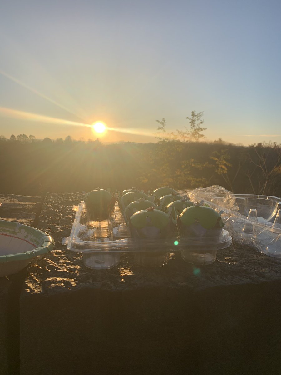 Brandon Roy, PhD tweet media