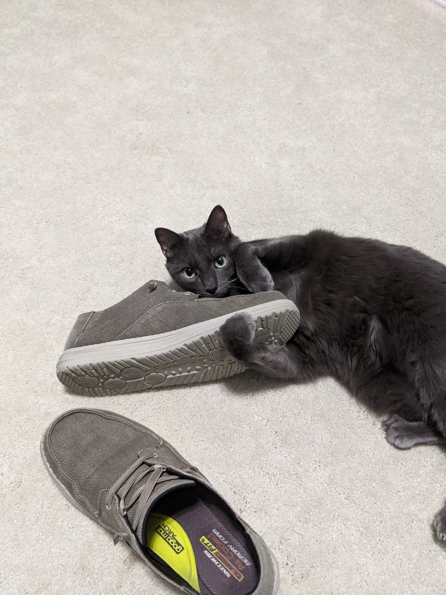 RachelSandidge's tweet photo. He says "my shoe!" https://t.co/D02pAackGj