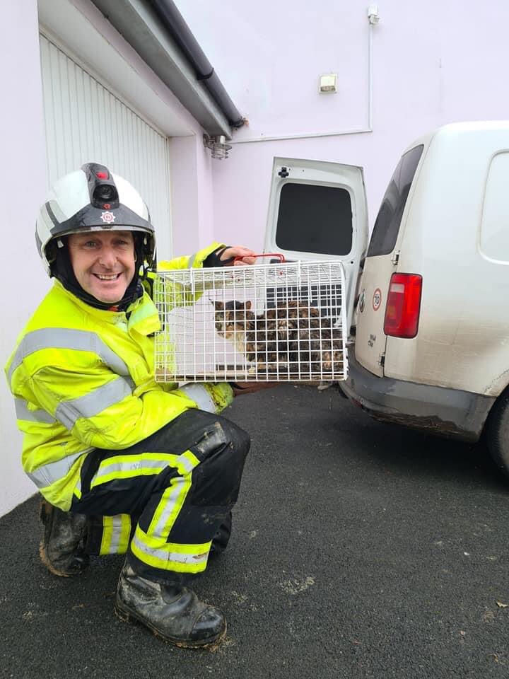 PollyLBolton's tweet photo. The power of social media! Today I put up a post on fb asking people to look out for our cat who had been missing for 5 days. Within the hour people had messaged round and found her! Scared up a tree to a height of 10.5m the amazing #BuckfastleighFire and RSPCA rescued her! https://t.co/kkpvhQSAnH