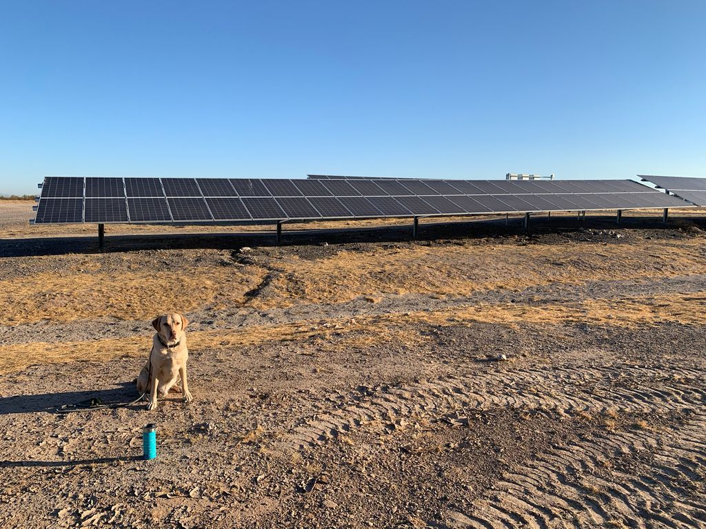 CEsolar_com's tweet photo. Temperatures are dropping, but the Sun keeps shining!☀️ This week's #SolarPup, Simba, is proudly showing off a Creative Energies install he helped on😉. How well did he do? #WeDoSolar #Solar #RenewableEnergy https://t.co/2eheMPD9Ej