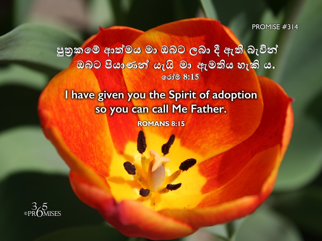 MAARFernando's tweet photo. I have given you the Spirit of adoption so you can call Me Father. (Read: Romans 8:15).
පුත්‍රකමේ ආත්මය මා ඔබට ලබා දී ඇති බැවින් ඔබට පියාණන් යැයි මා ඇමතිය හැකි ය. (කියවන්න:  රෝම 8:15). https://t.co/E1Svfwqm1Q