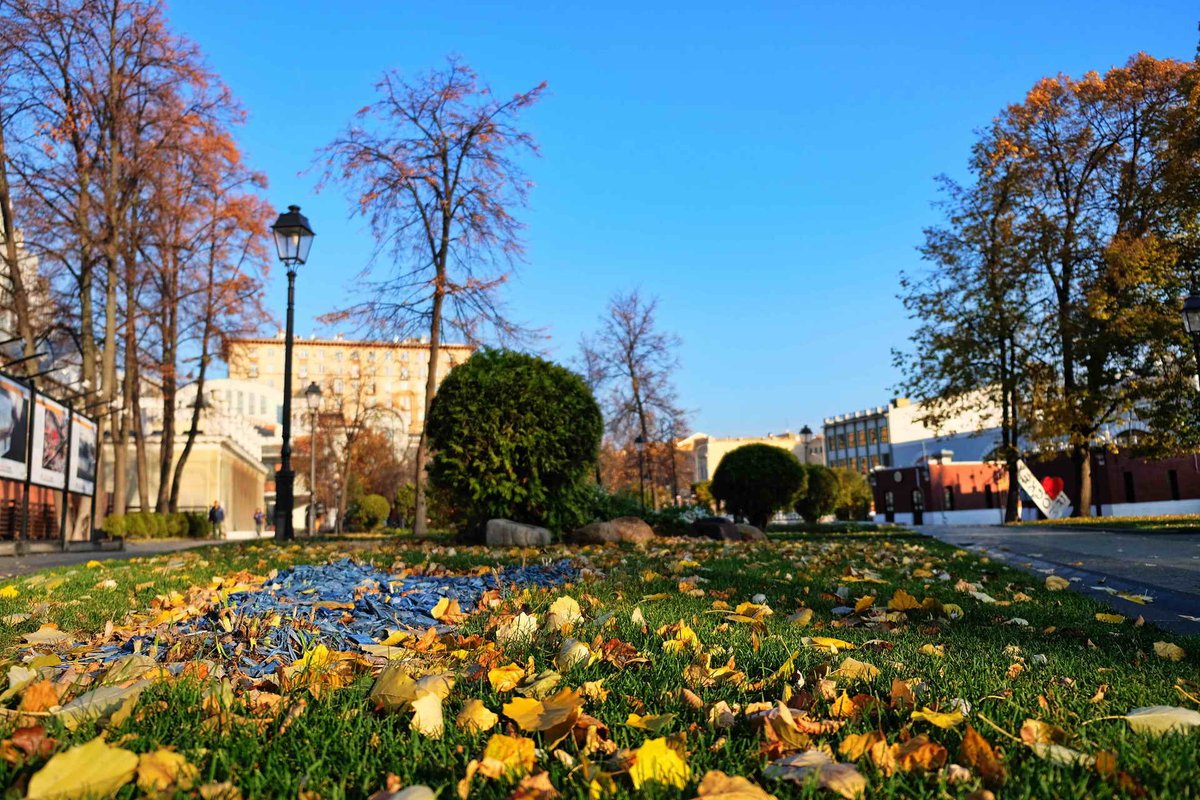 Мгновения осени в саду "Эрмитаж" 🍂🍁
⠀
#mosgorsad #садэрмитаж
