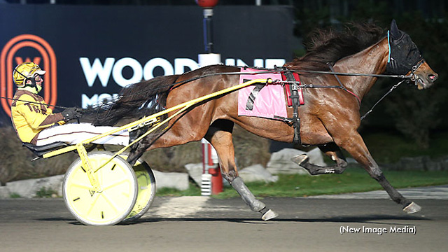 trotinsider's tweet photo. Repeat score for trotting mare Hey Livvy, who captured her second straight Preferred Trot at Woodbine Mohawk Park on Monday night » https://t.co/lrTH0Msgz5   #harnessracing https://t.co/TiiYP2atsS
