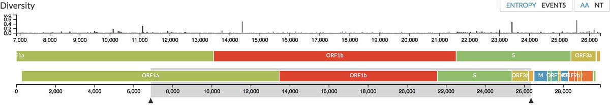 depending on a viral exonuclease that ensured a proofreading mechanism limiting the mutation rate (Eckerle et al. 2010; Ferron et al. 2018; Casane, Policarpo, et Laurenti 2019).