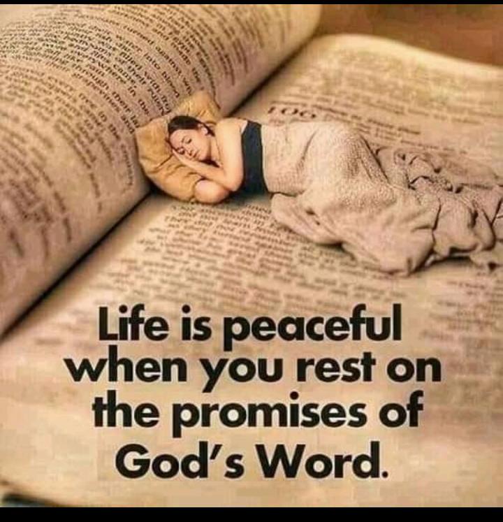 NsanzeR's tweet photo. Keep trusting God https://t.co/NaYqqsvWRH