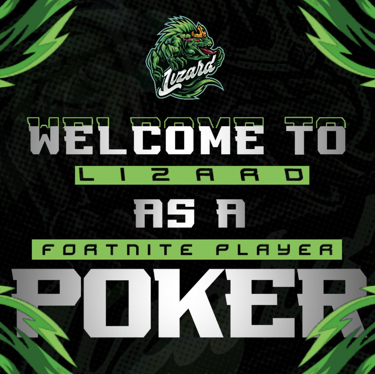 Team Lizard tweet media