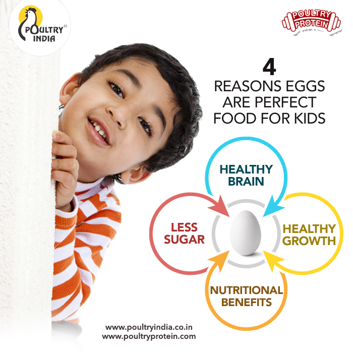 PoultryIndia15's tweet photo. Eggs offer so much to our children, they are an excellent source of iron and are a nutritious source of protein
.
.
#PoultryIndia #PoultryProtein #PoultryRecipe #EggProtein https://t.co/8U9cyCUKFr