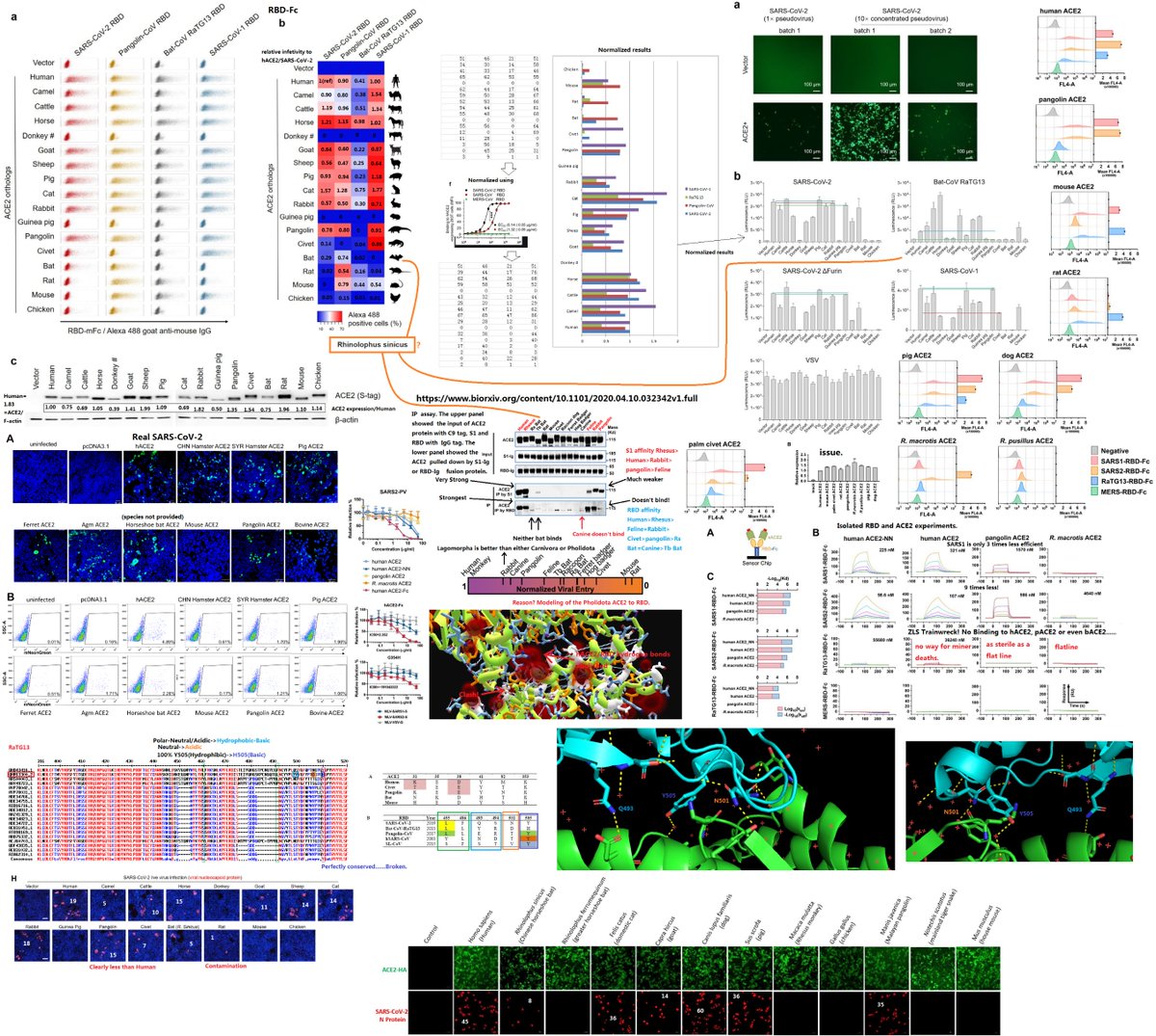 The last third contains 9 genes coding for proteins produced from subgenomic RNAs synthesized by viral polymerase (​Figure 2A​).