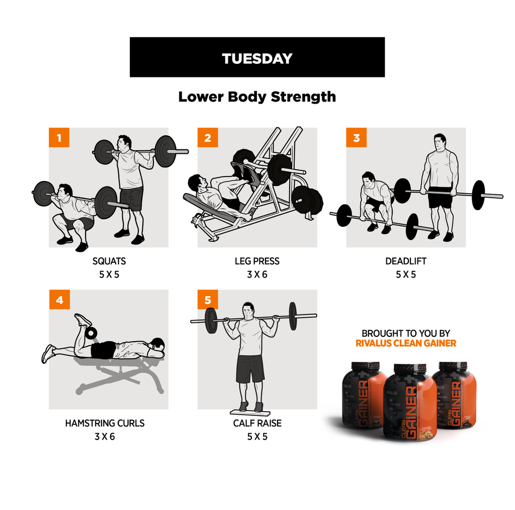TRAINforHER's tweet photo. Come and share your session with the Team TRAIN group, and if you're the most active member of the month you'll bag yourself a full feature in TRAIN magazine! โ
โ
https://t.co/KxAas7i6bP
โ
#TRAINforHER #TeamTRAIN #TRAINmag #rivalus #gym #gymlife #fitfam #bulking #cleanbulk https://t.co/akk9DPlgil