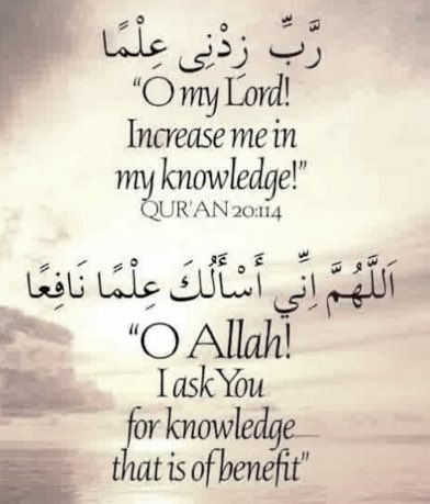 mohamedjjjj's tweet photo. Ameen. #Allah #Quran #IslamCompleteCodeToHumanity https://t.co/LwPPWaoFv6