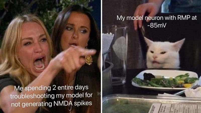 Shulan Xiao tweet media