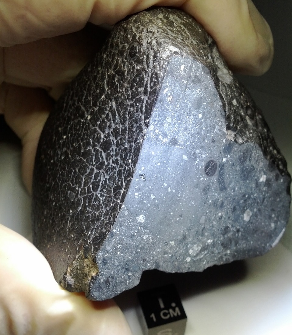 lifelabfoundat1's tweet image. An analysis of a meteroite named NWA 7533 suggests that there was water on #Mars 4.4 billion years ago, about 700 million year earlier than previously thought. The oxidation of certain minerals inside the meteroite hint at this presence of water.

Image: @NASA

#LifeLabFoundation