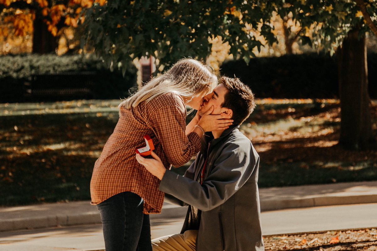 bridge ☆ tweet media