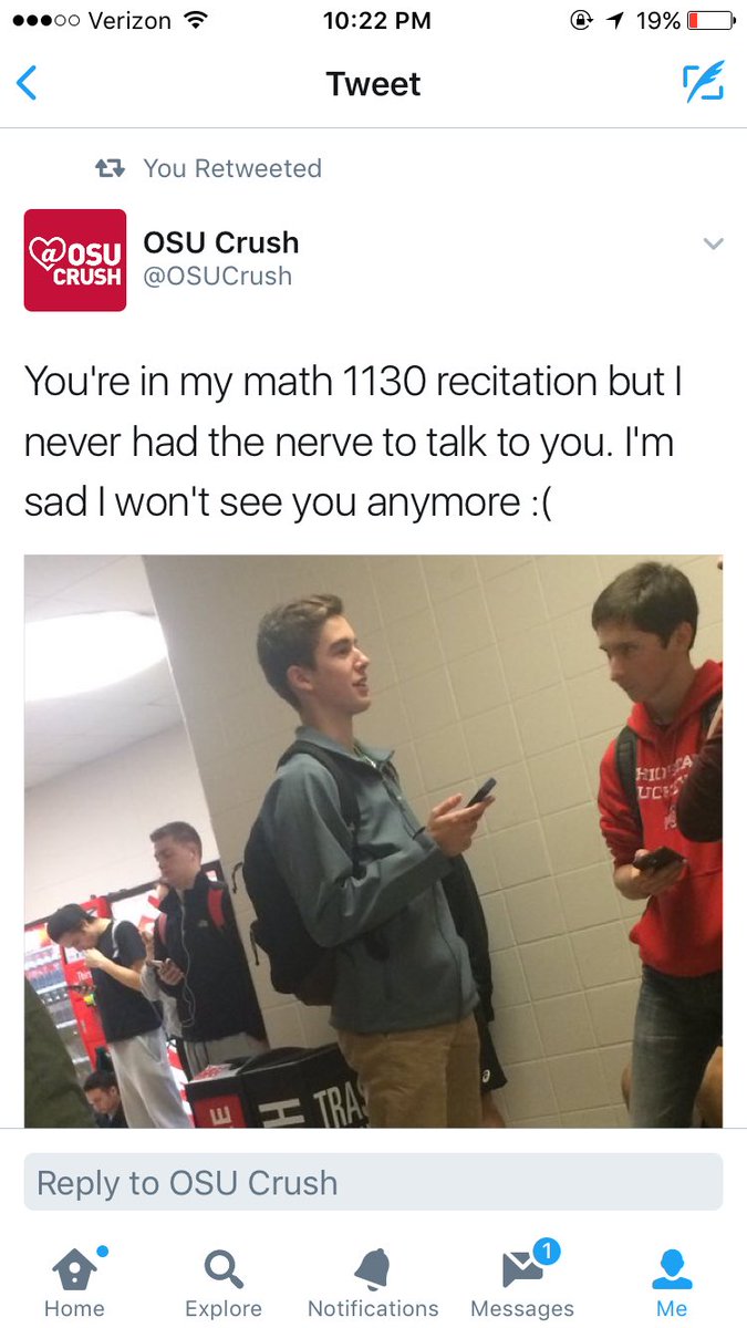 bridge ☆ tweet media