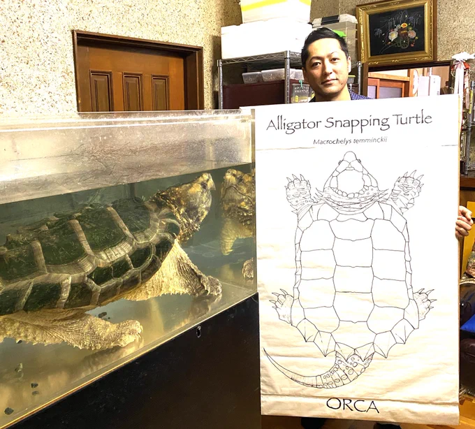 オルカプロジェクト様宅にて2回目の打ち合わせでした。原寸大サイズで平面上見構図に起こしてみて依頼人様も僕もオルカの大きさを再確認。実際のオルカより大きく感じると言って頂けたのは僕としては嬉しくクオリティの高い出来栄えが期待できます。キャンバスサイズは1310×820㎜、M60号です。 