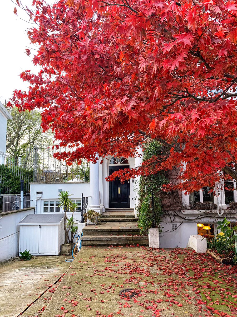 Autumn in Notting Hill 🍂