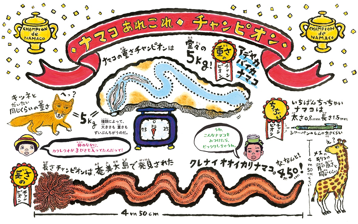 偕成社 きょうの1さつ ナマコ天国 本川達雄 作 こしだミカ 絵 ナマコの不思議ないきざまが楽しい イラストや歌とともにスッと頭に入ってくる良書です 読者の方より T Co 2xhw2961vs 偕成社 きょうの1さつ ナマコ天国 本川達雄 作 こしだミカ 絵 ナマコの不思議ないきざまが楽しい イラストや歌とともにスッと頭に入ってくる良書です 読者の方より T Co 2xhw2961vs