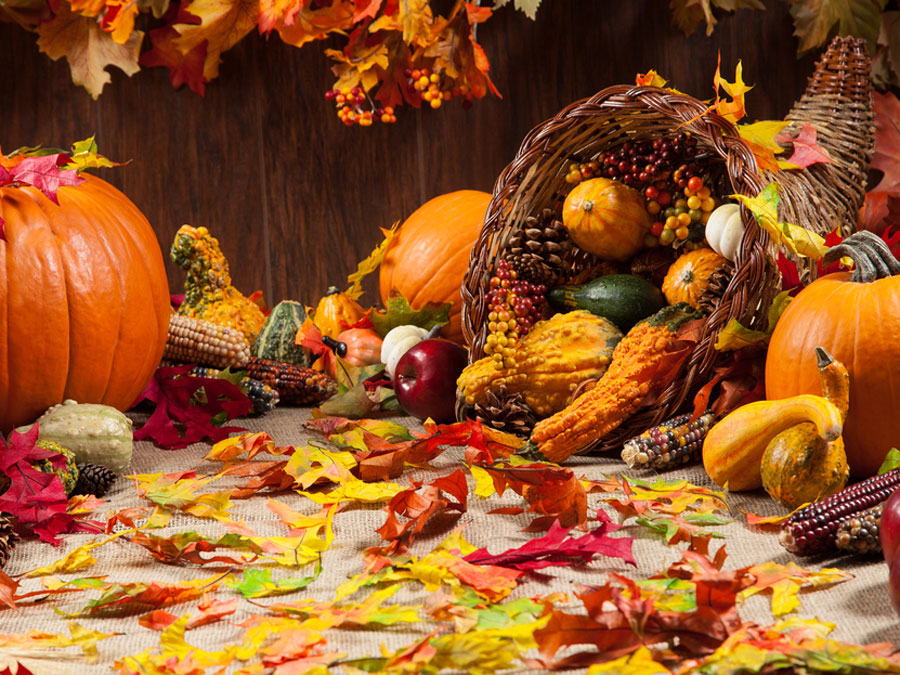Ptera's tweet photo. Our main office will be closed Thursday and Friday, November 26th and 27th for the Thanksgiving Holiday. We will still have our 24/7 team available to assist you with service issues during this time. Thank you! https://t.co/K0EnPqy7ic