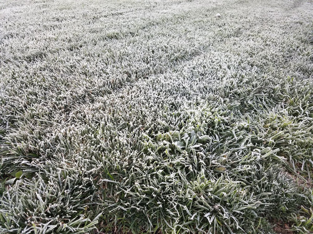 NWSLosAngeles's tweet image. We broke a few min temp records this morning.
                       This AM     Record
Long Beach         43             46
Sandberg            29             31
UCLA                   47             47

#climaterecord #socal #cawx #lowtemps