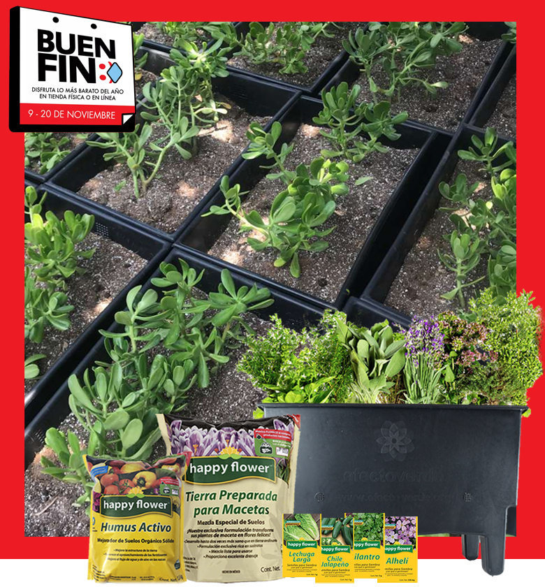 happyflowermex's tweet photo. #ElBuenFin2020 llegó a tu Tienda en Línea Happy Flower, aprovecha nuestros descuentos en todos nuestros productos para tu jardín: Fertilizantes, Abonos, Plaguicidas, Tierras Mejoradas, Semillas para Siembra, Arena para Gatos y más!
Compra ahora en: https://t.co/oLyGgcRgAN https://t.co/PKw8XQIoAx