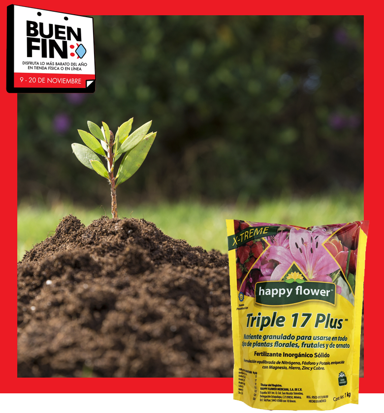 happyflowermex's tweet photo. #ElBuenFin2020 llegó a tu Tienda en Línea Happy Flower, aprovecha nuestros descuentos en todos nuestros productos para tu jardín: Fertilizantes, Abonos, Plaguicidas, Tierras Mejoradas, Semillas para Siembra, Arena para Gatos y más!
Compra ahora en: https://t.co/oLyGgcRgAN https://t.co/PKw8XQIoAx
