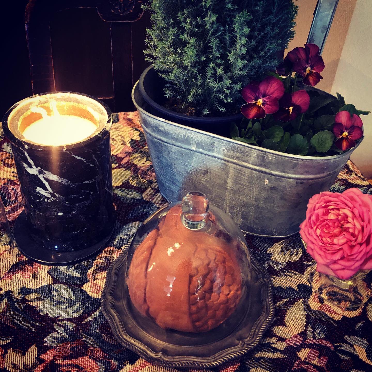 サンタマリアノヴェッラ テラコッタ ザクロ テラコッタ ザクロ｜サンタ