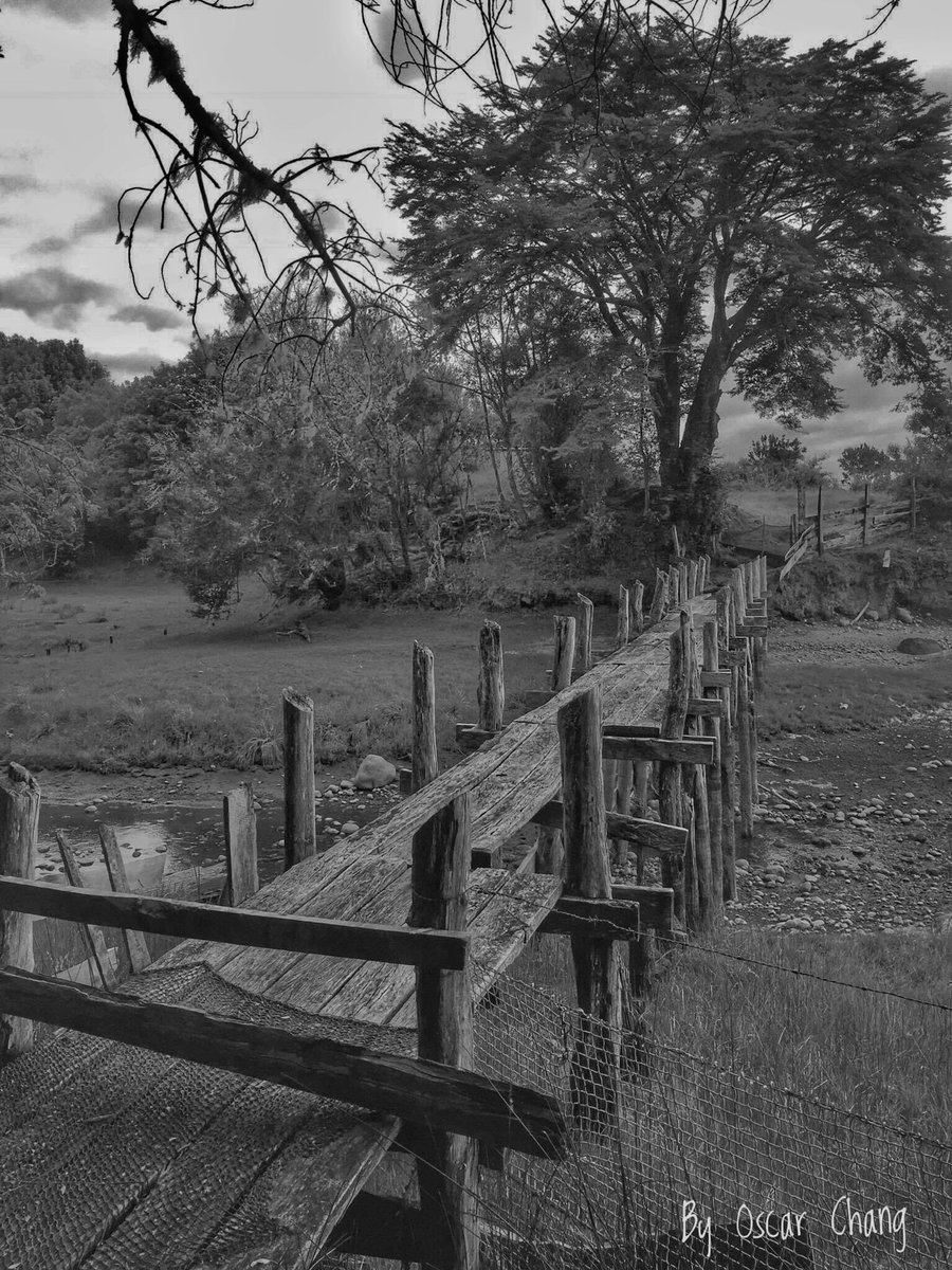 Oscar_Chang58's tweet photo. La otra mirada... #contuy #queilen #chiloe #chile #photography #blackandwhitephotography #photographers #canon https://t.co/haEB8xPbKo https://t.co/n6HzPNL4LU