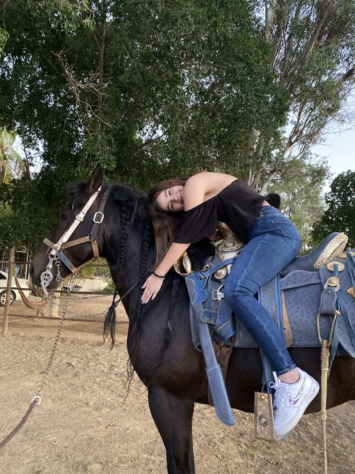 Pichula feliz https://t.co/NqWM5hZujK<a href="/tag/nuevafotodeperfil"class="tags"><span>#nuevafotodeperfil</span></a>