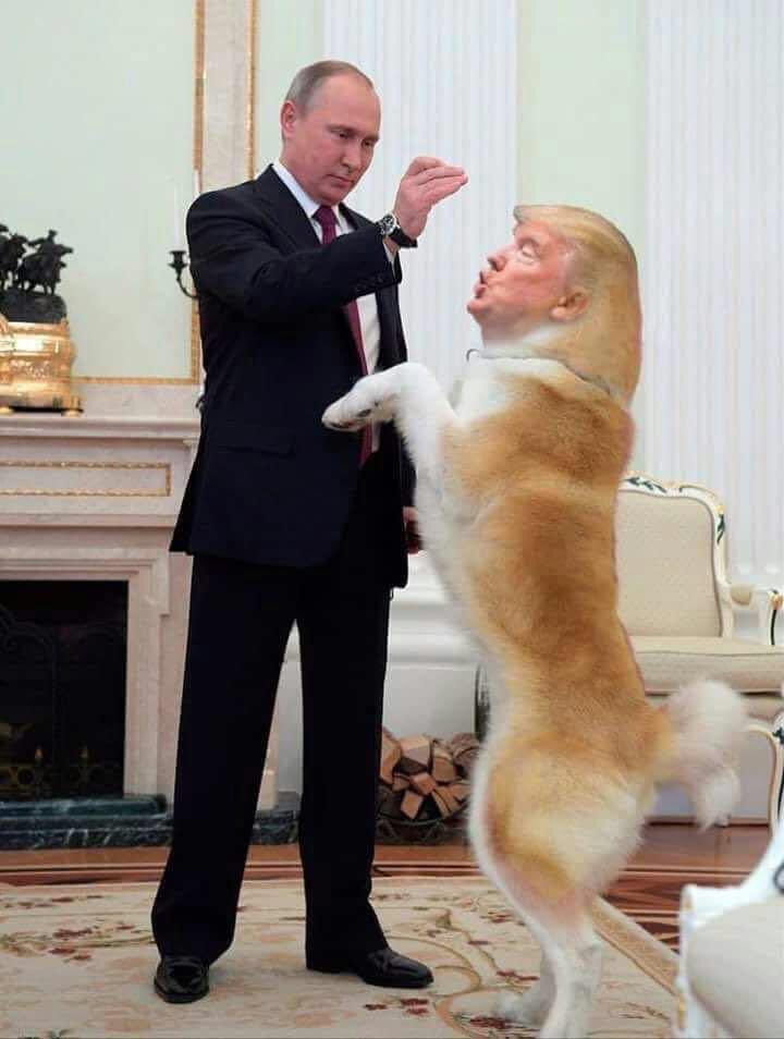 Donal trump
