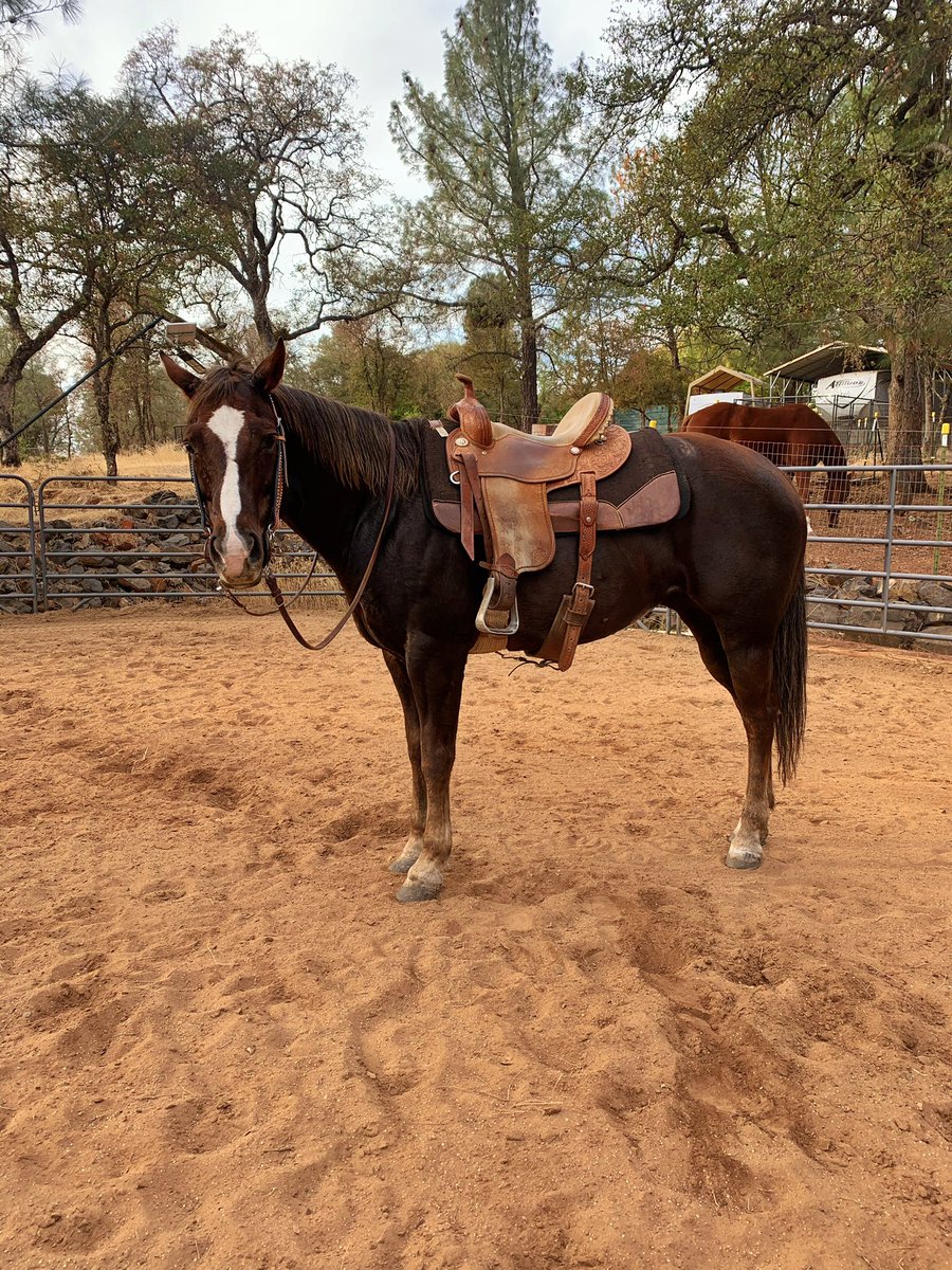 I’m obsessed with Rio 🥺 she’s literally the BEST girl ever.