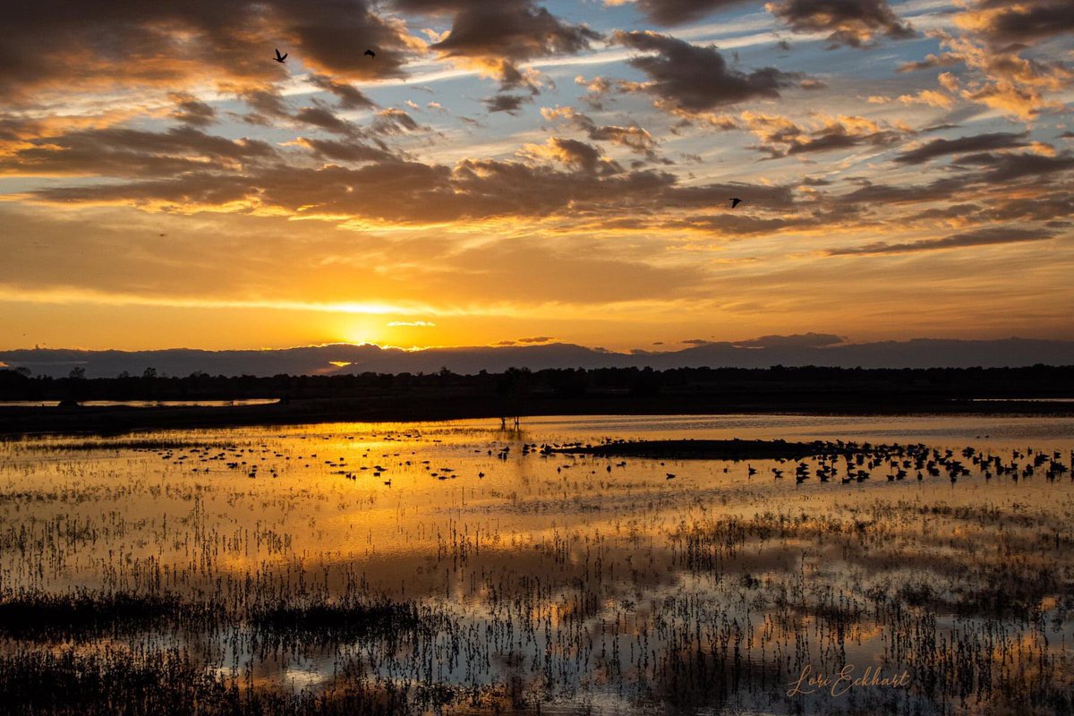 LoriEckhart1's tweet photo. @kcraFinan This was Saturday night’s sunset from the Llano Seco Bird Viewing platform, south of Chico. #sunset #llanoSeco https://t.co/xd1iDCHEFC